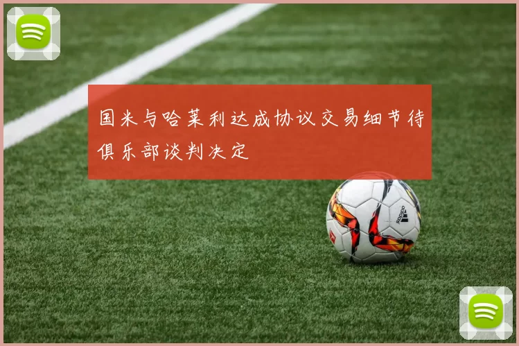 国米与哈莱利达成协议交易细节待俱乐部谈判决定